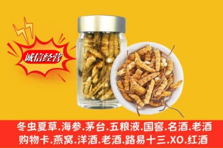 中宁县名酒回收散虫草.jpg